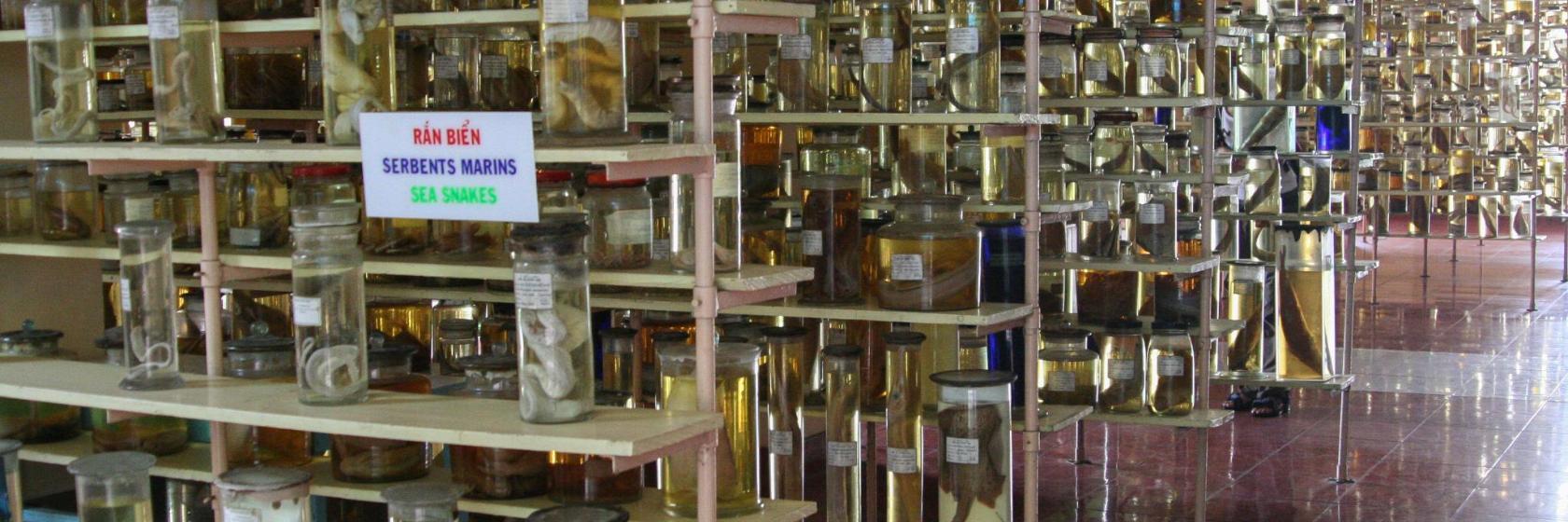 Instytut Oceanografii